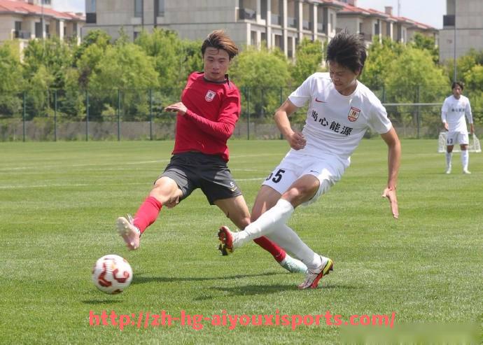 爱游戏体育官网-法甲比赛阶段分析：不同赛段球队状态与策略调整全景解析