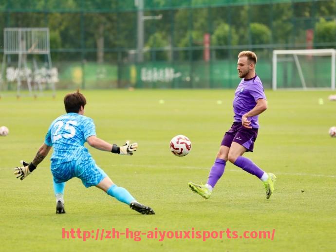 爱游戏体育官网-世俱杯比赛暂停信号设备技术标准与维护流程详解